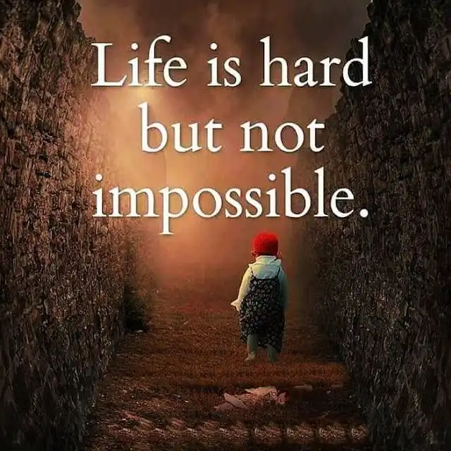 life whatsapp dp life whatsapp dp